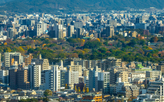 Aerial view of dense buildings and lush green trees creating a harmonious blend of urban and natural landscapes, Momochihama, Sawara Ward, Fukuoka City, Japan.