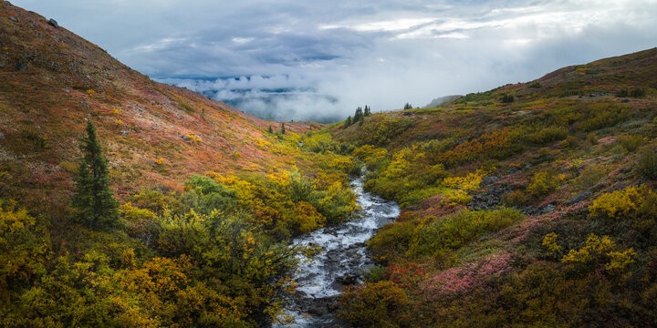 Aerial view of a vibrant river valley with autumn foliage cascading down the mountains under a cloudy sky, Alaska, United States.