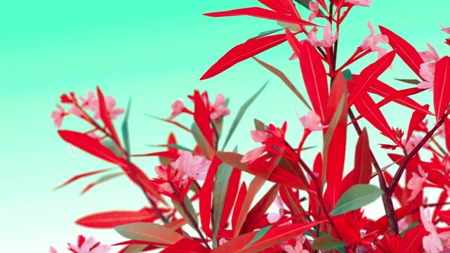 Surreal pink oleander flowers with vivid red leaves against a mint green background, perfect for abstract nature art, creative projects, or modern floral design