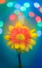 Composici&oacute;n minimalista con color fuerte sobre fondo neutro, espacio para texto.