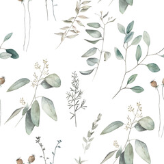 Watercolor seamless pattern with eucalyptus branches . Hand drawn illustration on white background