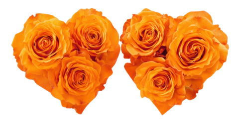 Bright orange roses valentine's day heart shapes, flat lay, isolated on transparent background