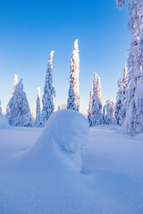 winter landscape with snow