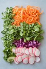 Vibrant fresh raw plant based vegetables arranged in colorful rows. Sliced carrots, radishes, purple cabbage, cucumber, and green leaves for healthy eating.