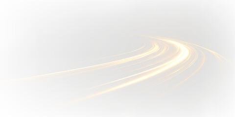 Golden curved lines and light trails create an abstract design on a transparent background with gentle movement and flow © tanandaa