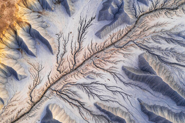 Aerial view of intricate, branching patterns etched into the pale earth, resembling delicate veins across a stark, otherworldly landscape, Hanksville, Utah, United States.