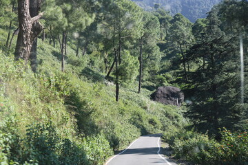 Obraz premium Driving on a winding road through a green forest in the mountains during daylight hours