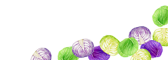 キャベツ 紫キャベツ　野菜　背景 フレーム 横長　水彩 イラスト
