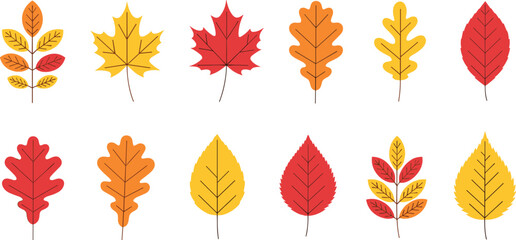 Fototapeta premium Flat Vector Illustration Set of Autumn Fall Leaves Collection Featuring Maple Oak and Birch Foliage in Warm Red Orange and Yellow Colors