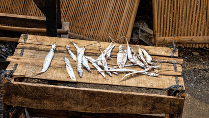 Engraulis eurystole; silver anchovy. Dried and gutted fish for meat sauces and fish dishes are sold right on the street, in bulk. Indonesia