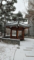 winter and korea
