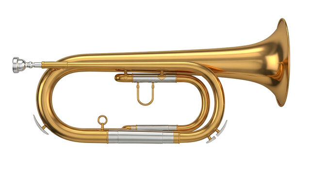 Golden Brass Bugle with Silver Accents on Black Background