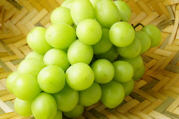 シャインマスカット