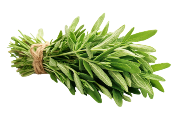 Raw fresh kale leaves bundle for nutrition on clean white background isolated on transparent background