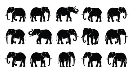 Collection of various elephant silhouettes in different poses © StockStudio
