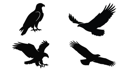 Obraz premium Collection of black eagle bird silhouettes in various flight and standing poses