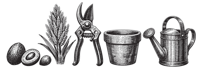 A vintage black and white illustration showcasing gardening essentials including pruning shears, a plant pot, a watering can, a rice stalk, and an avocado.