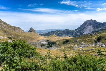 Beautiful summer mountain landscape, beautiful nature