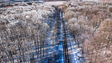 Aerial view of frost-covered forest road in Dobrovat Forest, Iasi County, Romania