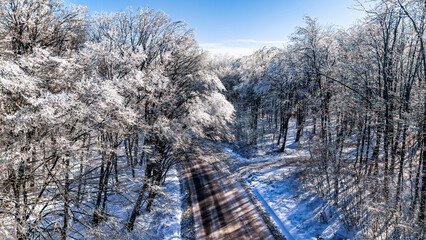 Aerial view of frost-covered forest road in Dobrovat Forest, Iasi County, Romania