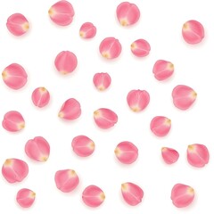Scattered pink flower petals