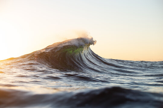 A backlit green textured ocean wave rising over a shallow reef captured from the oceans surface at sunrise on the East Coast of Australia. 