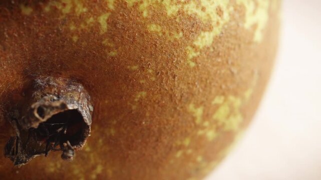 Pear extreme close up slowly rotating and gentle stop stock footage