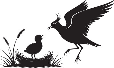 Fototapeta premium Crested lapwing bird landing near hungry baby chick in nest on ground silhouette illustration