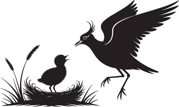 Crested lapwing bird landing near hungry baby chick in nest on ground silhouette illustration