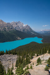 Peyto Lake aerial summer scenery with turquoise water and clear blue sky