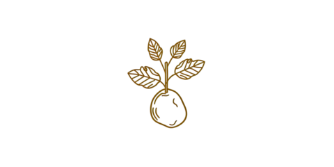 A simplified, stylized depiction of a sprouting plant with leaves and a root system, set against black