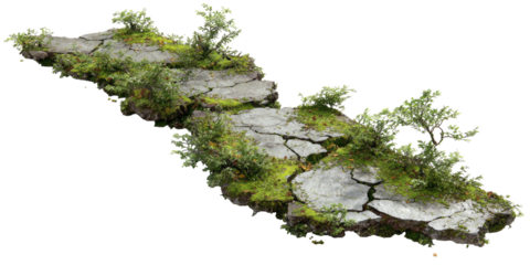 A winding, cracked stone path overgrown with moss and small bushes, isolated on a black background