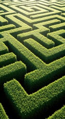 Sunlight filters down onto the tightly manicured, high green walls of an intricate garden maze, creating deep shadows in the narrow paths, sunlight, natural, dense