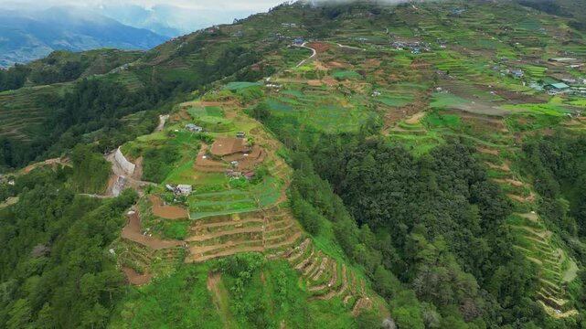 Push out aerial revealing the vast multi-layered rice terraces and sprawling highland farms stretching toward misty horizons in Buguias, Benguet.