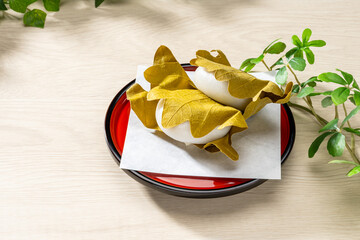 こどもの日の伝統和菓子・柏餅