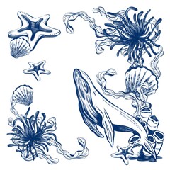 Hand Drawn Marine Life Line Art for Fabric and Tableware Pattern Design