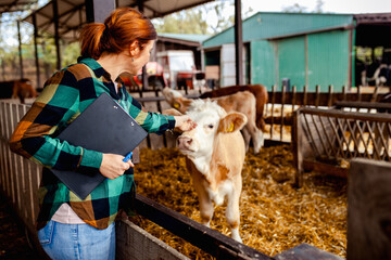 Female farmer inspecting young calf in dairy barn while holding clipboard. © Zoran Zeremski