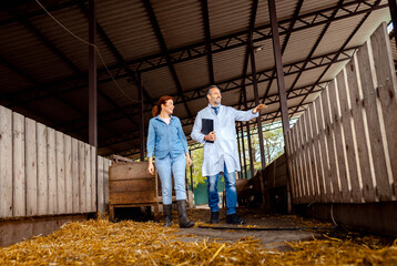 Veterinarian and female farmer discussing livestock care while walking through dairy barn.