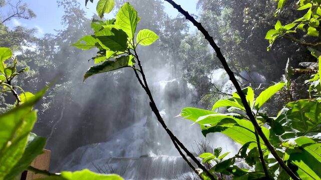 A scenic view of Kuang Si Waterfalls in Luang Prabang Laos featuring sun-lit tropical plants and lush greenery.
