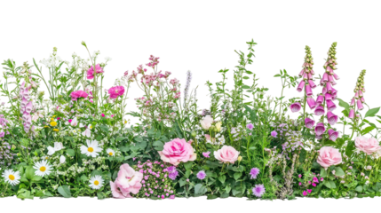 Natural Style Flowerbed with Diverse Plants and Blooming Flowers on transparent background