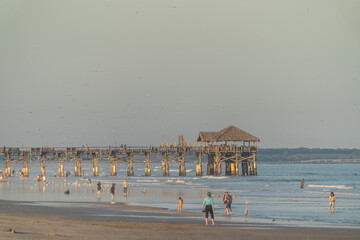 Beach life in Florida