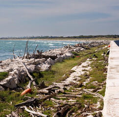 Rotten driftwood, branches, and logs washed ashore by the sea on a breakwater