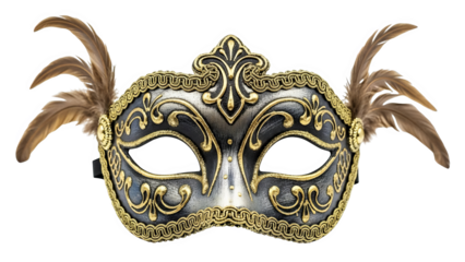 Elegant Venetian Masquerade Mask With Gold Ornaments And Feathers