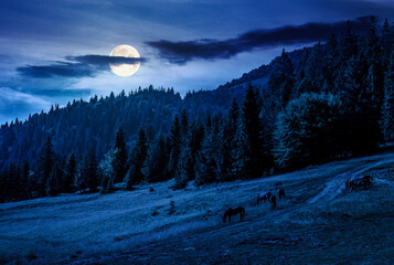 horses grazing near the dirt road on a clearing at night. edge of the coniferous forest on the hillside in full moon light. summer mountain landscape. backdrop for fiction art or mystery concepts