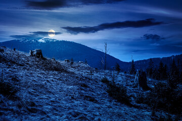 carpathian mountains in early spring at night. tree stumps on rolling hills in full moon light. forest clearing. deforestation landscape under blue sky. background for fake news or conspiracy concepts