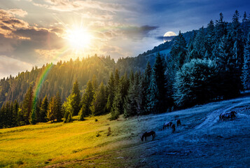 horses grazing near the dirt road on a clearing. day and night time change concept. edge of coniferous forest on hillside with sun and moon. summer mountain landscape. harmony and progress calendar