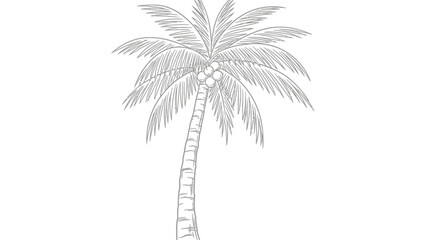 Obraz premium Detailed Line Art Illustration of a Slender Palm Tree with Coconuts