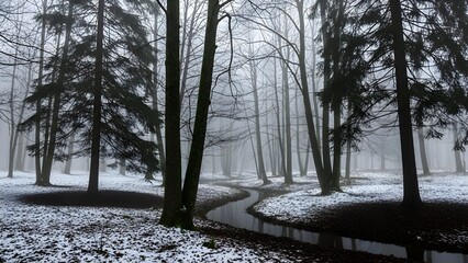 Forest landscape with stream and snow