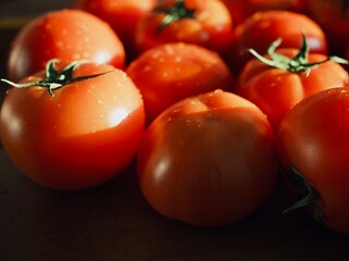 신선한 유기농 채소 빨간 토마토