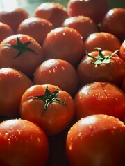 신선한 유기농 채소 빨간 토마토